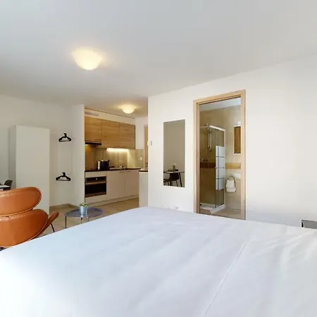 Furnished Studio #102 - Swiss *